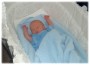 015  In my Bassinet.. * 800 x 582 * (77KB)